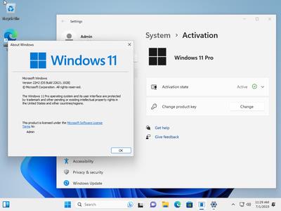 Windows 11 Pro 22H2 Build 22621.1928 (No TPM Required) Preactivated Multilingual (x64)
