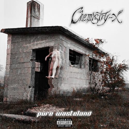 Chemistry-X - Pure Wasteland [Single] (2023)