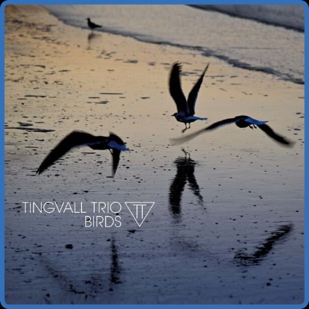 Tingvall Trio  Birds 2023