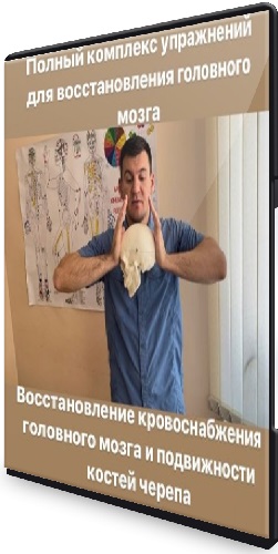 Антон Алексеев - Восстановление кровоснабжения мозга и подвижности костей черепа (2023) WEBRip