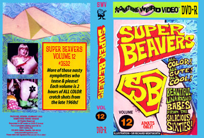 Super Beavers Vol 12 - [480p/1.06 GB]