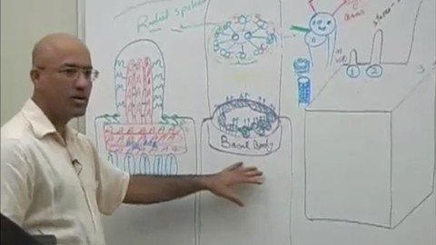 Master Histology With Dr. Najeeb