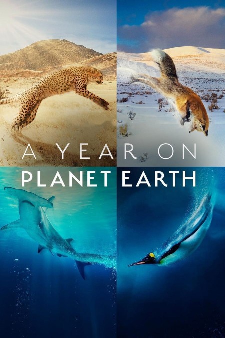 A Year on Planet Earth S01E05 1080p BluRay x264-FRYZ