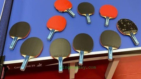 Table Tennis Equipment The Art Of Choosing The Perfect Gear