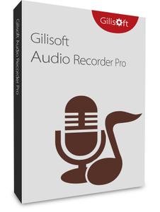 GiliSoft Audio Recorder Pro 11.6 Multilingual