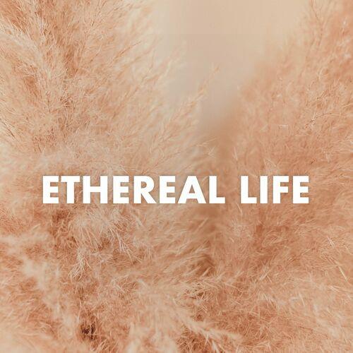 Etheral Life (2023)