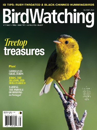 Bird Watching USA - July / August 2023