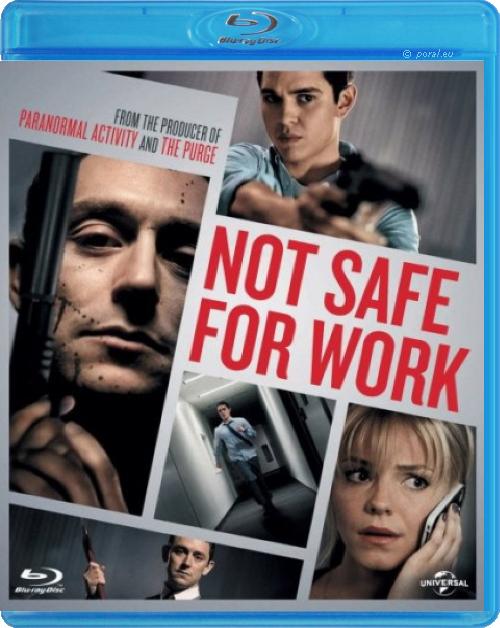 Ryzyko zawodowe / Not Safe for Work (2014) MULTI.BluRay.1080p.AVC.DTS-HD.MA.DD.5.1-SnOoP-UPR / Lektor i Napisy PL