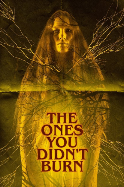  / The Ones You Didnt Burn (2022) WEB-DL 1080p  New-Team | Jaskier, TVShows