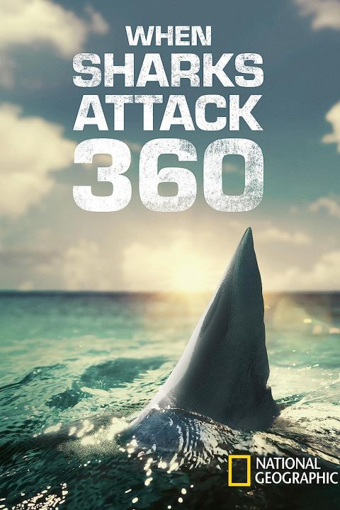 Atak rekina: okiem ekspertów / When Sharks Attack 360 (2023) [SEZON 1] PL.1080i.HDTV.H264-B89 | POLSKI LEKTOR