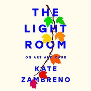 The Light Room [Audiobook]