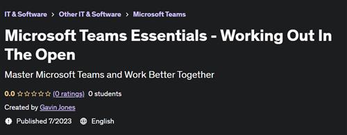 Microsoft Teams Essentials – Working Out In The Open |  Download Free
