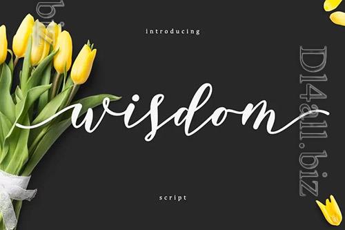 Wisdom - Beautifully Hand Crafted Script Font