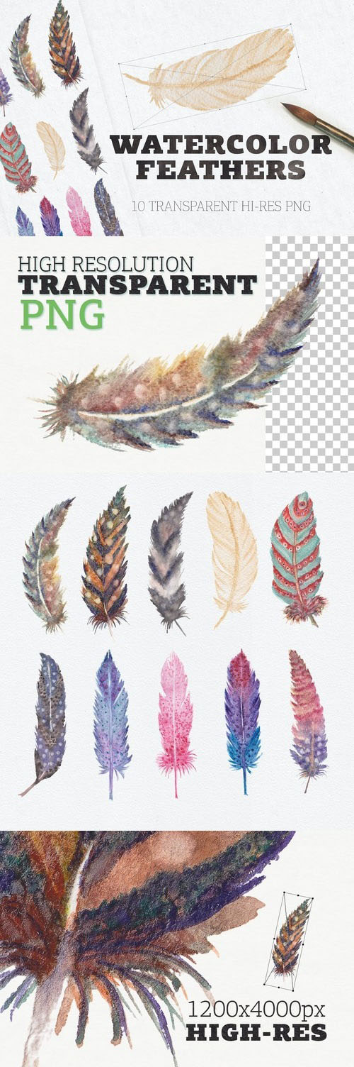 Watercolor Feathers