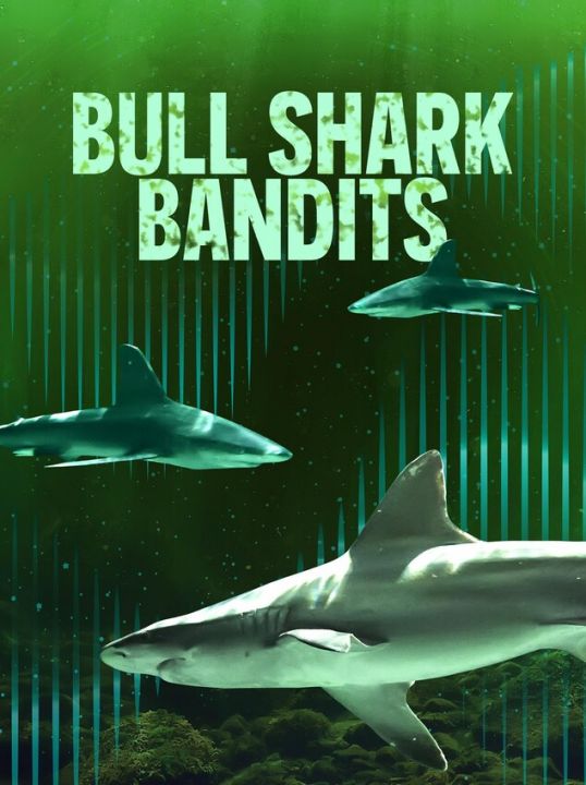 Na tropie żarłaczy tępogłowych / Bull Shark Bandits (2023) PL.1080i.HDTV.H264-B89 | POLSKI LEKTOR