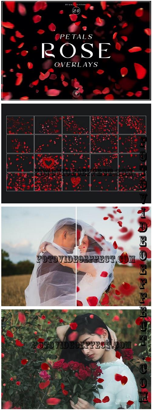 Rose Petals Overlays - MH8JE7R