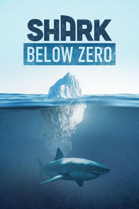 Rekiny Północy / Shark Below Zero (2023) PL.1080i.HDTV.H264-B89 | POLSKI LEKTOR