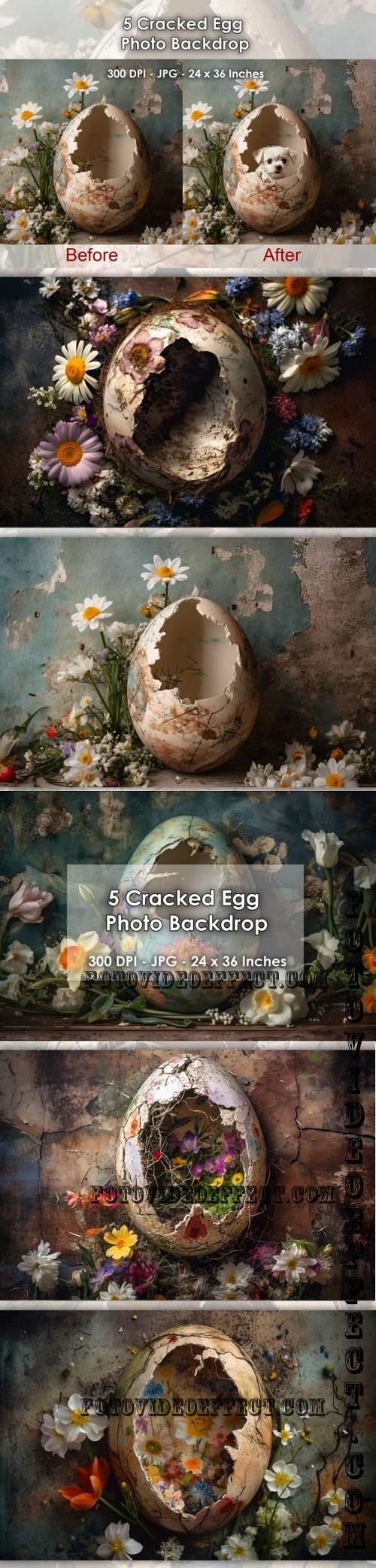 5 Cracked Eggs Photo Backdrop