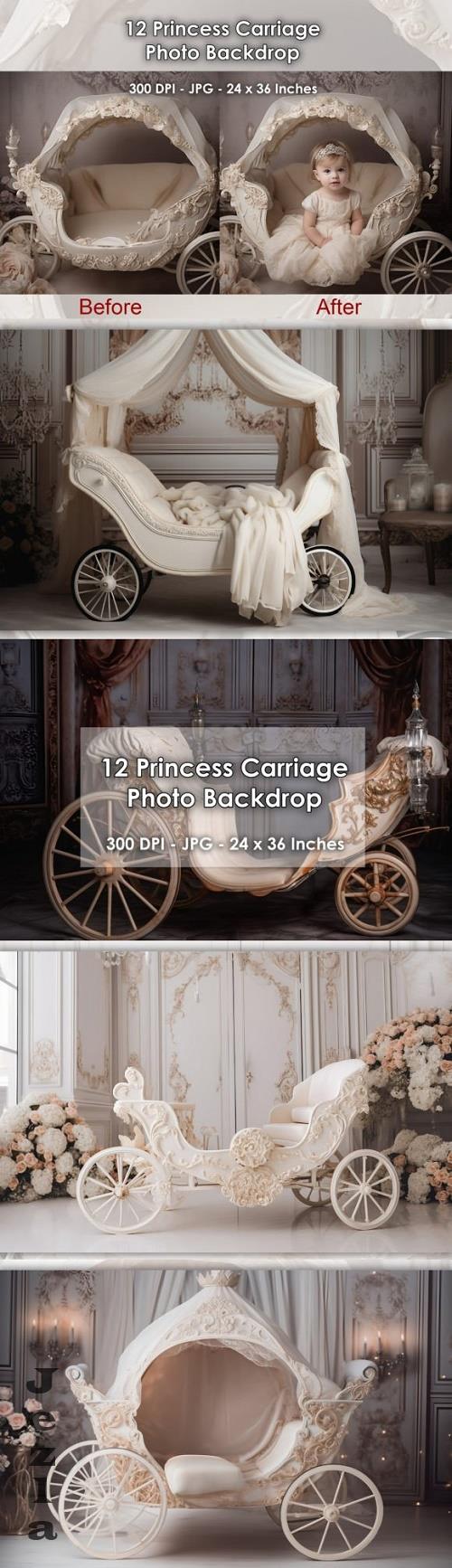 12 Princess Carriage Photo Backdrop JPG