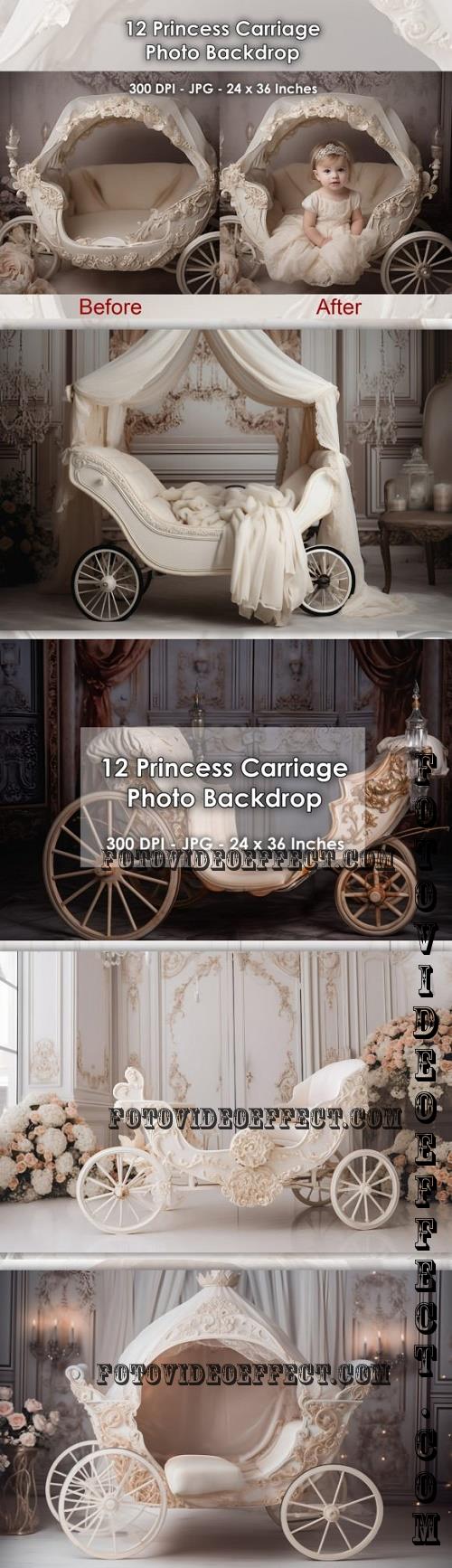 12 Princess Carriage Photo Backdrop JPG