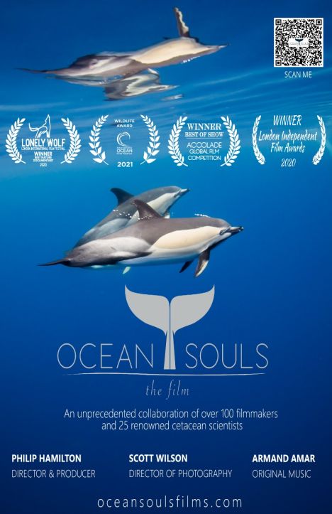 W głębi oceanu / Ocean Souls (2020) PL.2160p.HDR.UHDTV.H265-OzW  / Lektor PL