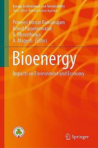 Bioenergy Impacts on Environment and Economy