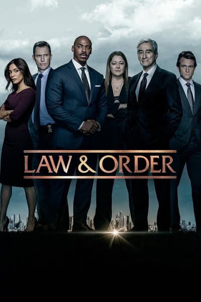 Law and Order S22E11 GERMAN DL 1080p WEB h264-SAUERKRAUT