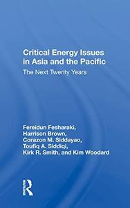 Critical Energy Issues In Asia And The Pacific The Next Twenty Years