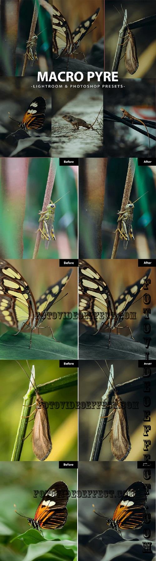 6 Macro Pyre Lightroom and Photoshop Presets - 46543010