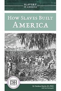 How Slaves Built America