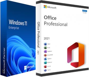 Windows 11 Enterprise 22H2 Build 22621.1992 (No TPM Required) With Office 2021 Pro Plus Multilingual Preactivated (x64)