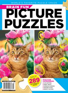 Picture Puzzles – July 2023