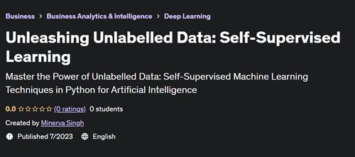 Unleashing Unlabelled Data – Self–Supervised Learning