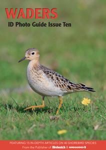 Bird ID Photo Guides – 10 July 2023