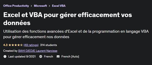 Excel et VBA pour gérer efficacement vos données