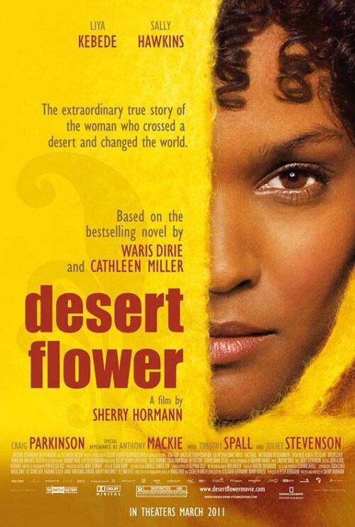 Kwiat pustyni / Desert Flower (2009) MULTi.1080p.BluRay.x264.DTS.5.1-MR | Lektor i Napisy PL