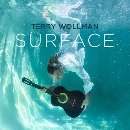 Terry Wollman - Surface (2023)