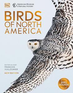AMNH Birds of North America (DK North American Bird Guides)