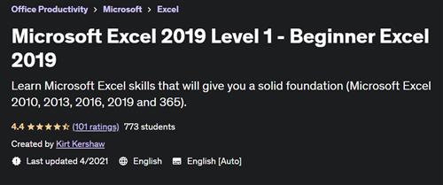 Microsoft Excel 2019 Level 1 – Beginner Excel 2019