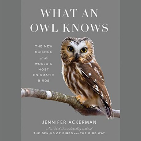 Jennifer Ackerman - 2023 - What an Owl Knows (Science) - [AUDIOBOOK]