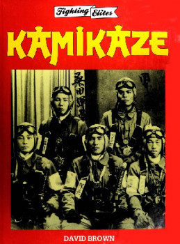 Kamikaze (Fighting Elites)