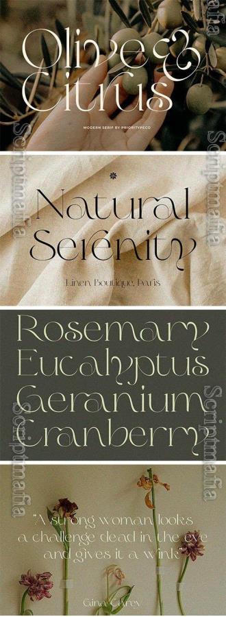 Olive & Citrus - Modern Serif [OTF]