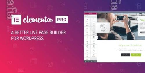 Elementor Pro v3.14.1 - Live Page Builder For WordPress - NULLED + Page Archive & Popup Templates