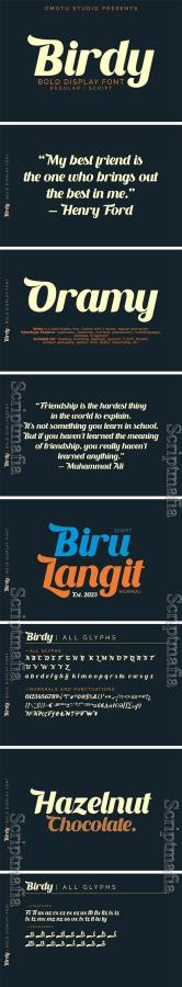 Birdy - Elegant Bold Script [OTF]