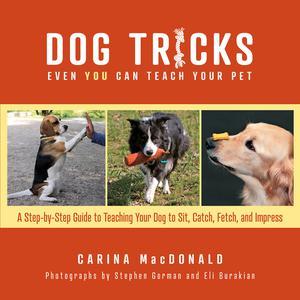 Dog Tricks Even You Can Teach Your Pet A Step–by–Step Guide to Teaching Your Pet to Sit, Catch, Fetch, and Impress