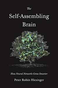 The Self–Assembling Brain How Neural Networks Grow Smarter