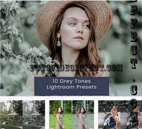 10 Grey Tones Lightroom Presets - G553ULW