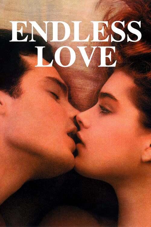 Niekończąca się miłość / Endless Love (1981) MULTi.1080p.BluRay.x264.DTS.2.0-MR | Lektor i Napisy PL