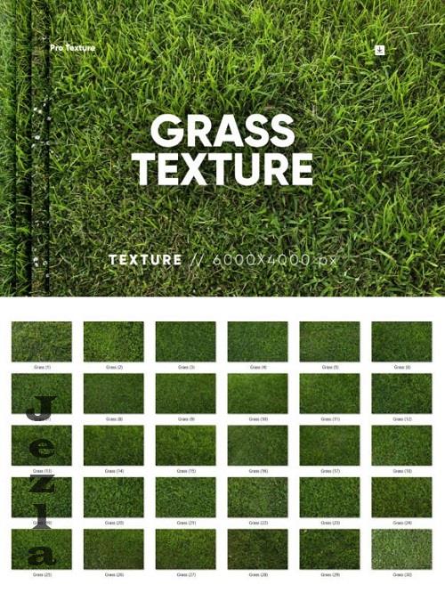 30 Grass Texture HQ - 27124263