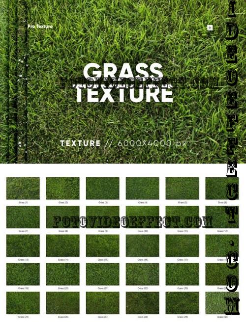 30 Grass Texture HQ - 27124263